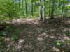 pxl_20250517_170142459_small.jpg