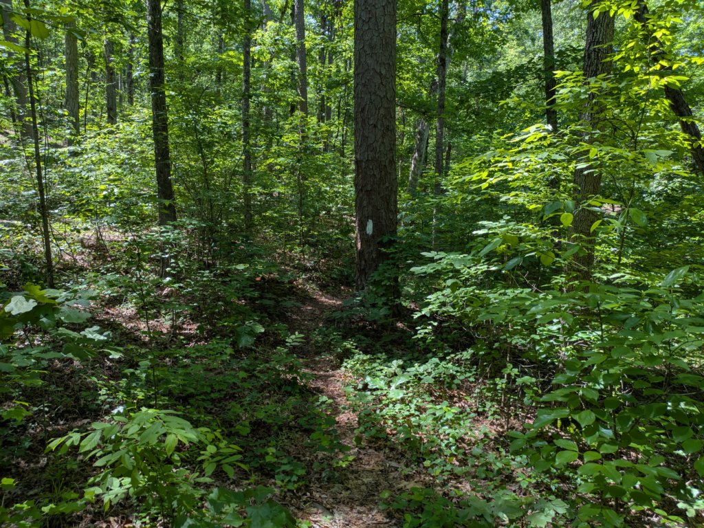 pxl_20250517_170229098.jpg