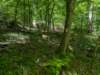 pxl_20250517_170257707_small.jpg