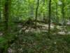 pxl_20250517_170310323_small.jpg