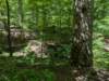 pxl_20250517_170319192_small.jpg