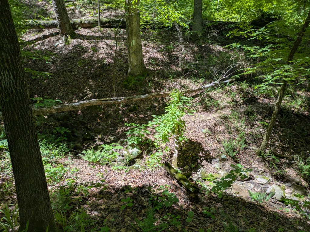 pxl_20250517_170344738.jpg