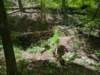 pxl_20250517_170344738_small.jpg