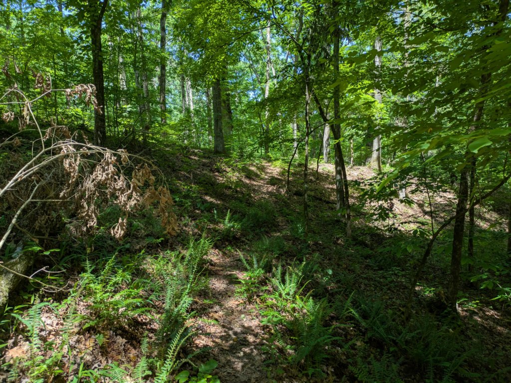 pxl_20250517_170408529.jpg