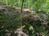 pxl_20250517_170550814_small.jpg