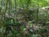pxl_20250517_170600703_small.jpg