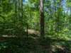 pxl_20250517_170732886_small.jpg