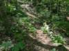 pxl_20250517_170959072_small.jpg