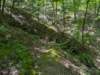 pxl_20250517_171112743_small.jpg