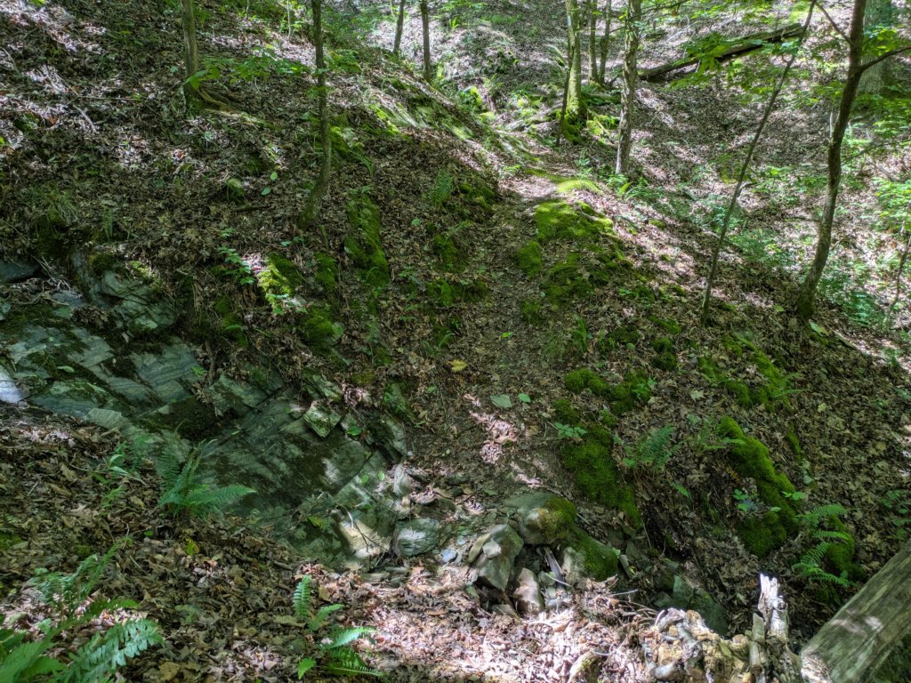 pxl_20250517_171126895.jpg