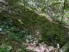 pxl_20250517_171126895_small.jpg