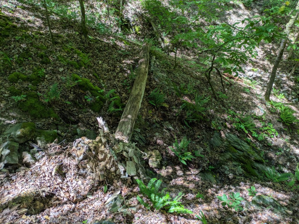 pxl_20250517_171129852.jpg