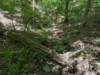 pxl_20250517_171141335_small.jpg
