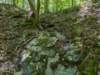pxl_20250517_171147563_small.jpg