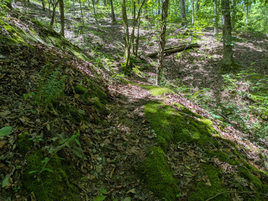 pxl_20250517_171151337.jpg
