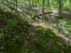 pxl_20250517_171151337_small.jpg