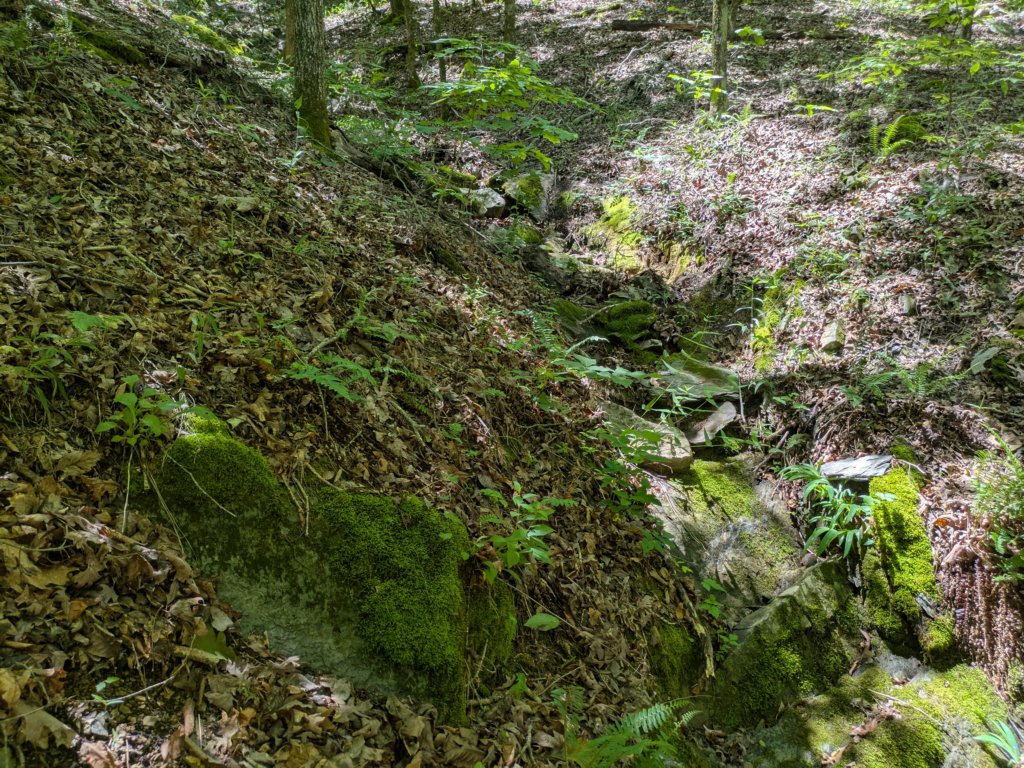 pxl_20250517_171208453.jpg