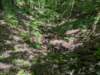 pxl_20250517_171220671_small.jpg
