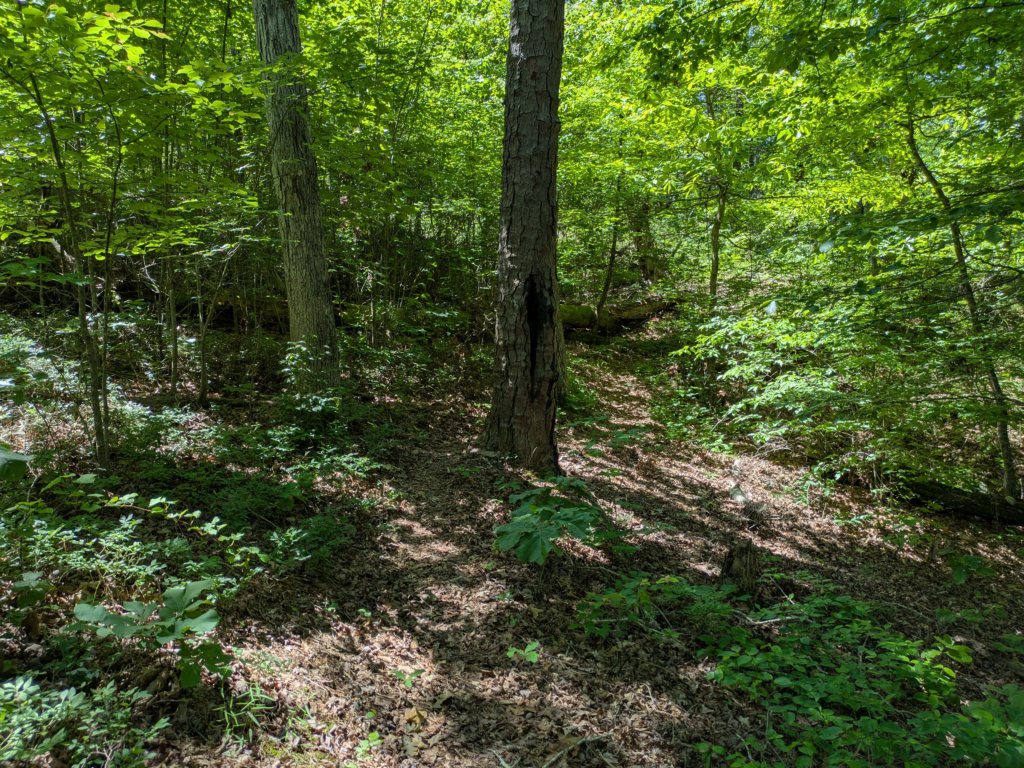 pxl_20250517_171351880.jpg