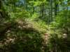 pxl_20250517_171415190_small.jpg