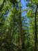 pxl_20250517_171446601_small.jpg
