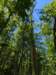 pxl_20250517_171448538_small.jpg