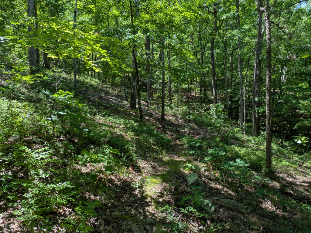 pxl_20250517_171646178.jpg