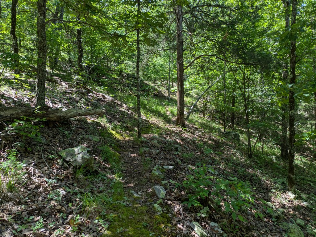 pxl_20250517_172058067.jpg