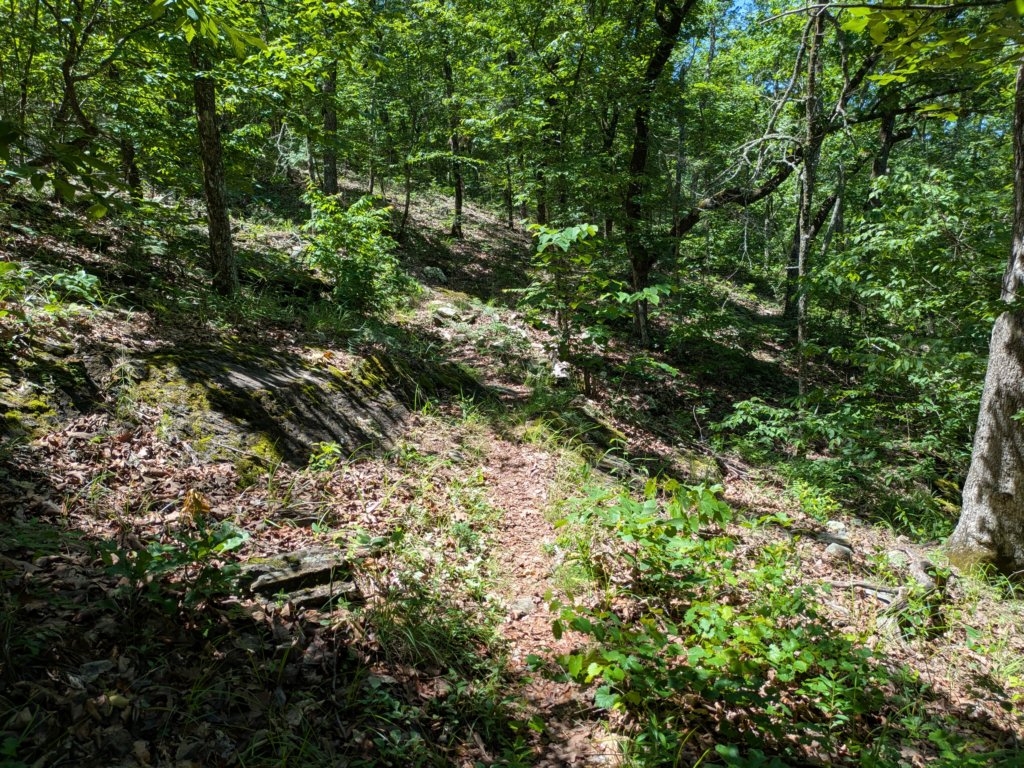 pxl_20250517_172147167.jpg