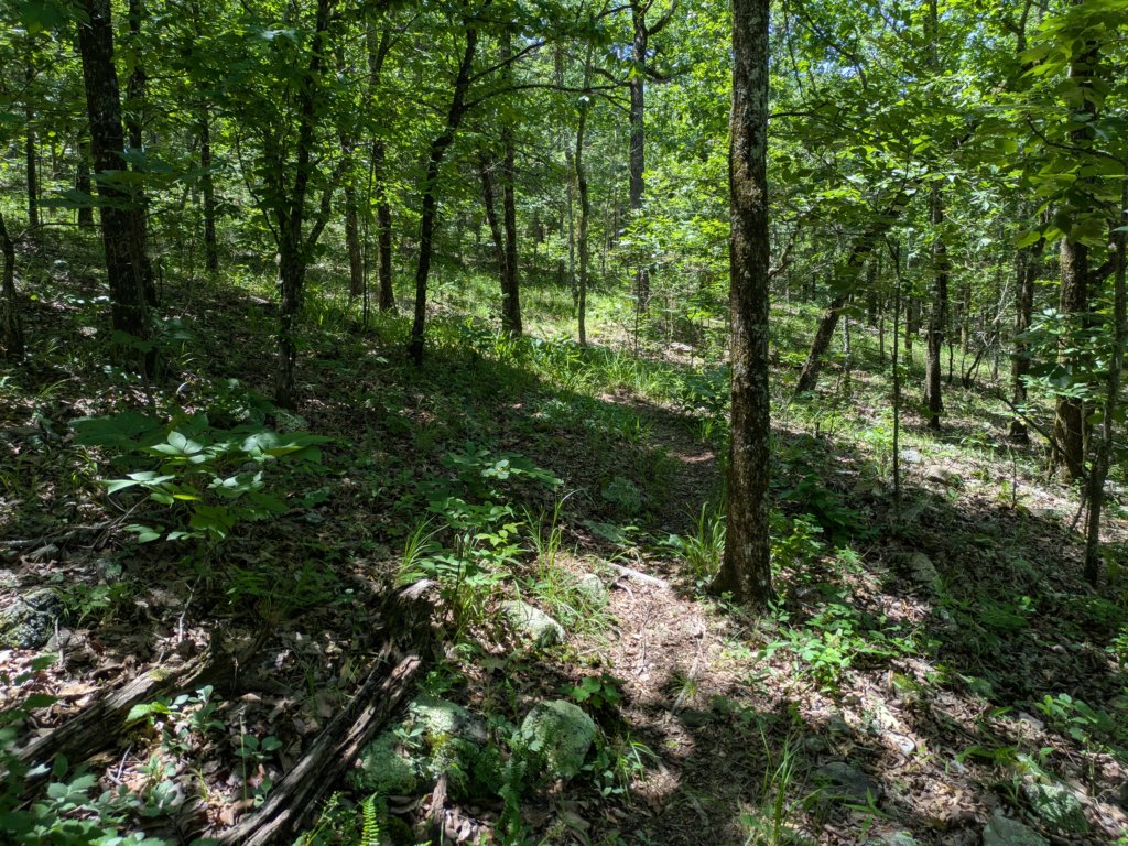 pxl_20250517_172754602.jpg