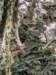 pxl_20250517_172920313_small.jpg