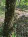pxl_20250517_172926333_small.jpg