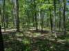 pxl_20250517_173344077_small.jpg