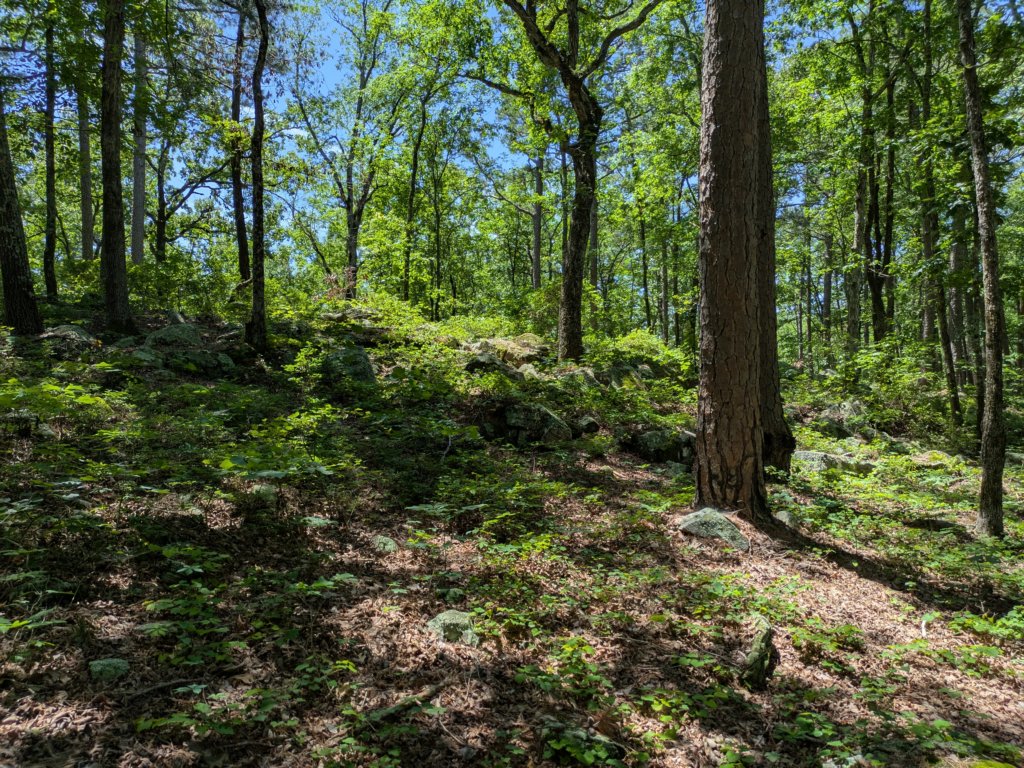 pxl_20250517_173952152.jpg