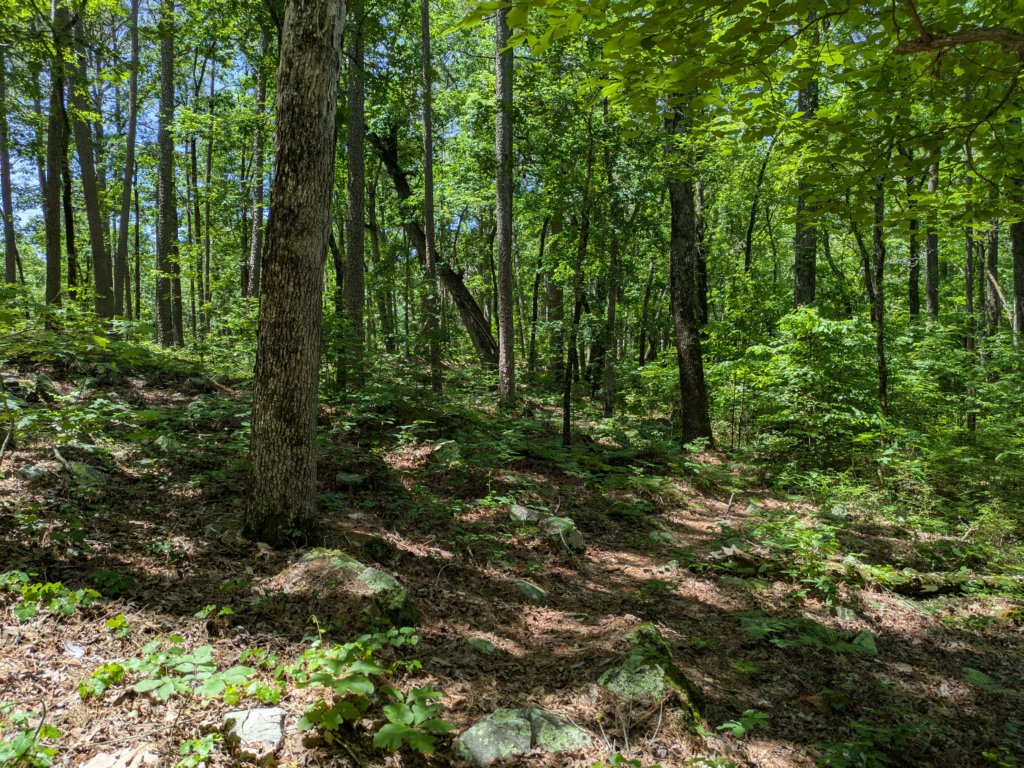 pxl_20250517_174039964.jpg