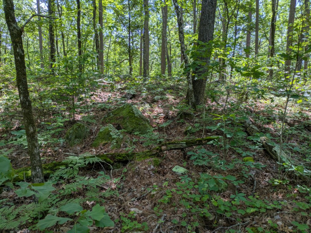 pxl_20250517_174103633.jpg