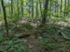 pxl_20250517_174103633_small.jpg