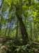 pxl_20250517_174118760_small.jpg