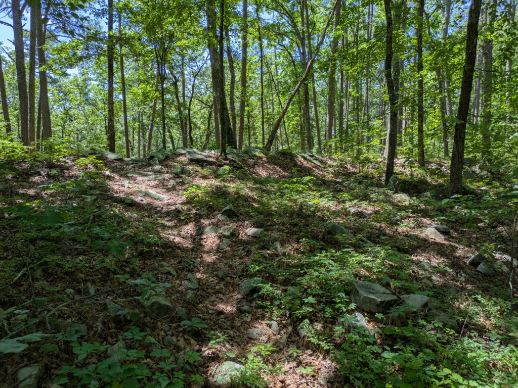 pxl_20250517_174126904.jpg