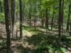 pxl_20250517_174958596_small.jpg