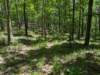 pxl_20250517_175237256_small.jpg