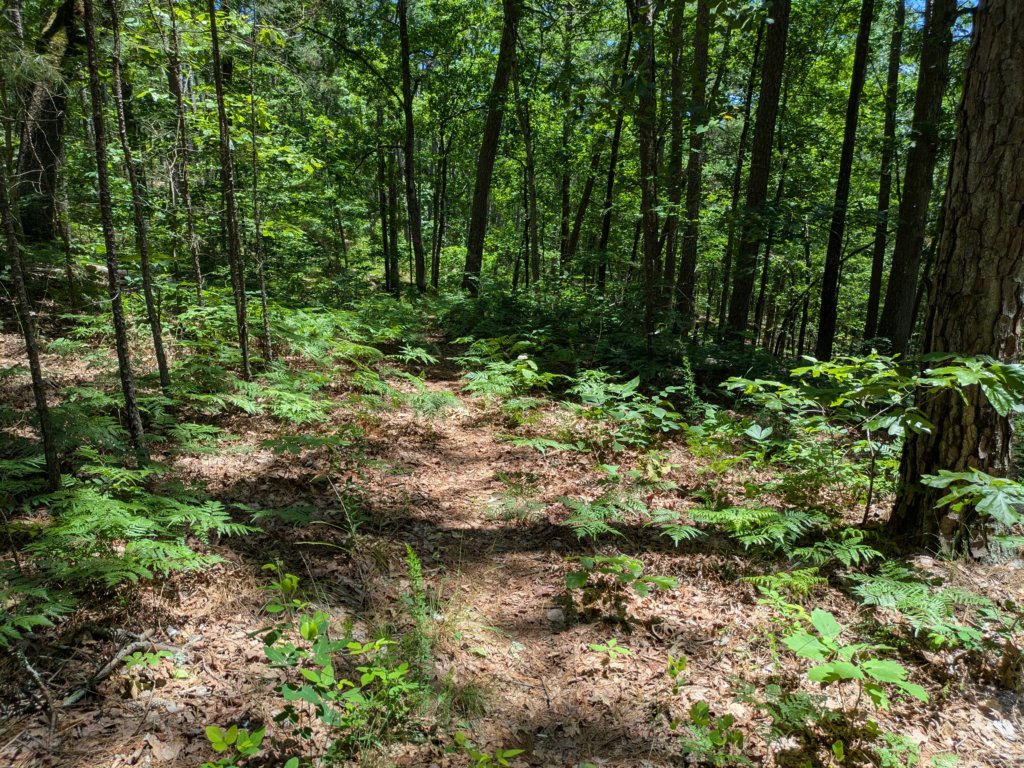 pxl_20250517_175557600.jpg