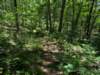pxl_20250517_175629347_small.jpg