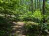 pxl_20250517_175706587_small.jpg