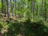 pxl_20250517_180610214_small.jpg