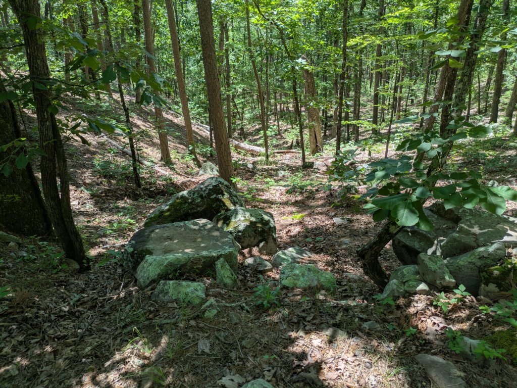 pxl_20250517_181225801.jpg