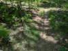 pxl_20250517_181537786_small.jpg