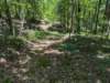 pxl_20250517_181859713_small.jpg