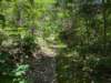 pxl_20250517_182122317_small.jpg