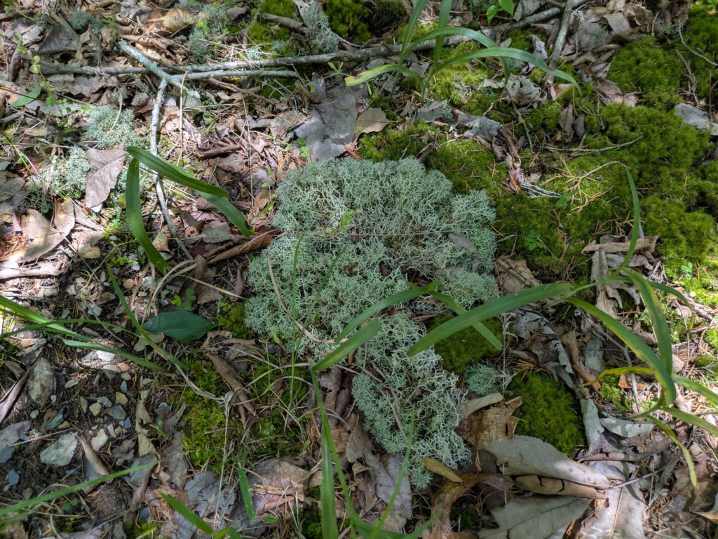 pxl_20250517_182142509.jpg